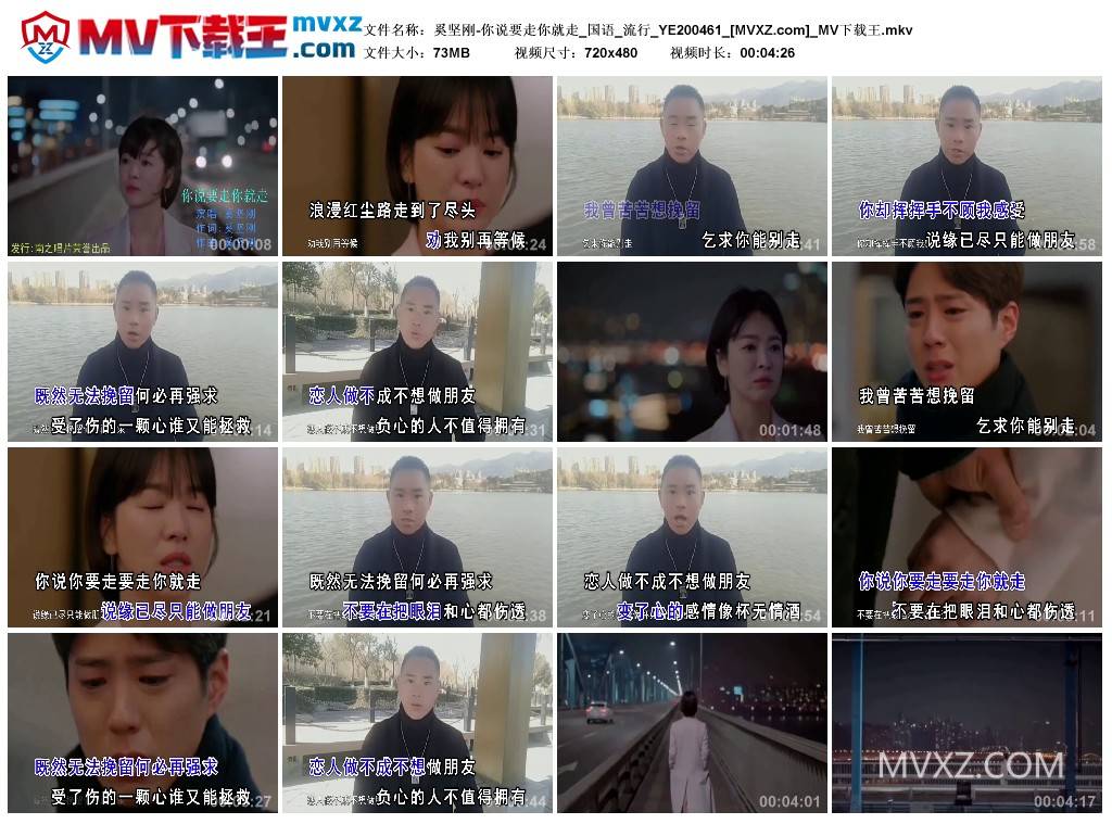 奚坚刚-你说要走你就走_国语_流行_YE200461